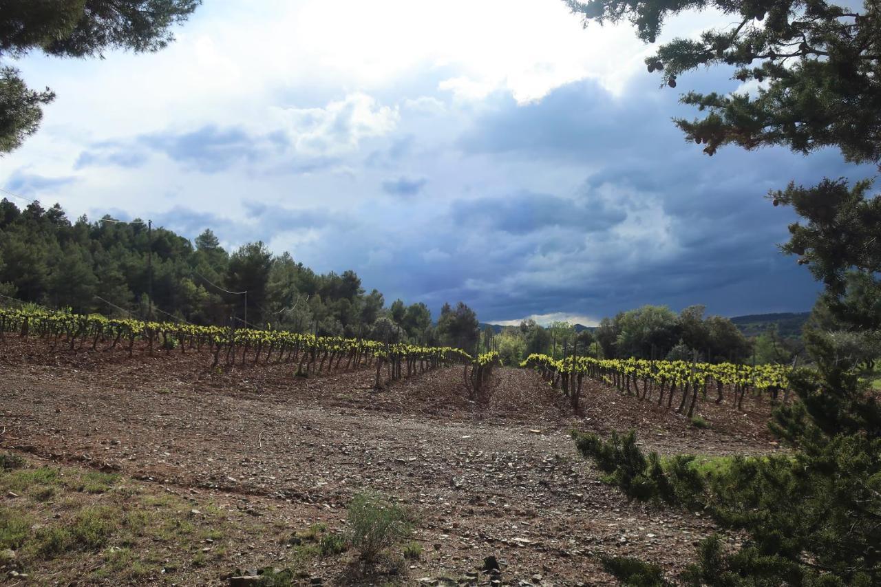 Masia Sagues Poblet Exteriér fotografie
