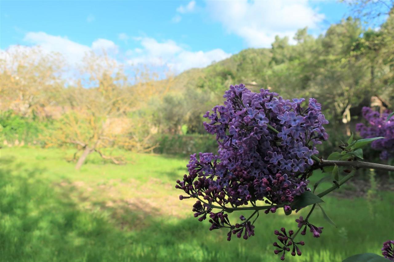 Masia Sagues Poblet Exteriér fotografie