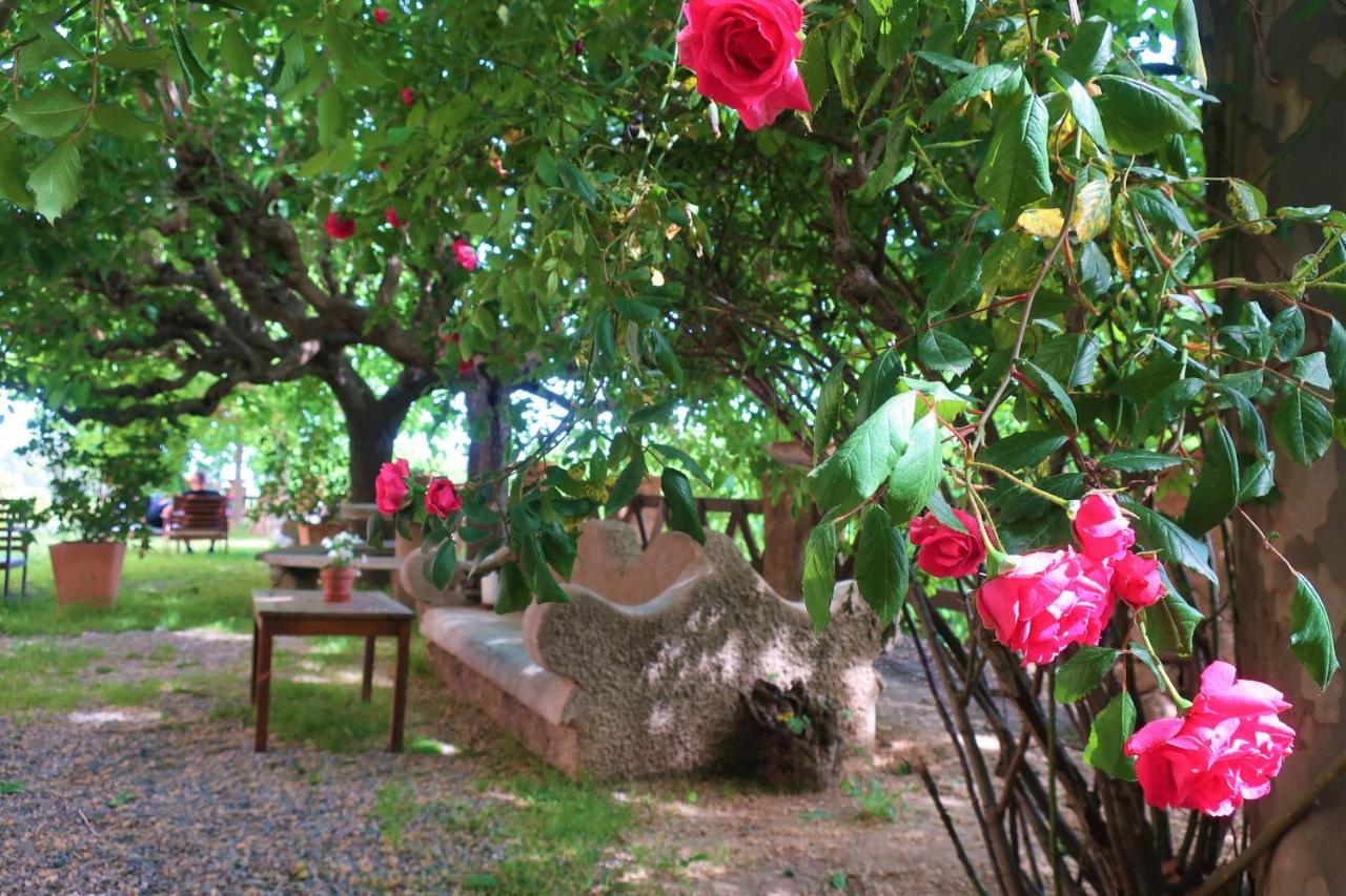 Masia Sagues Poblet Exteriér fotografie