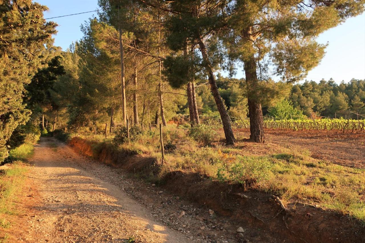 Masia Sagues Poblet Exteriér fotografie