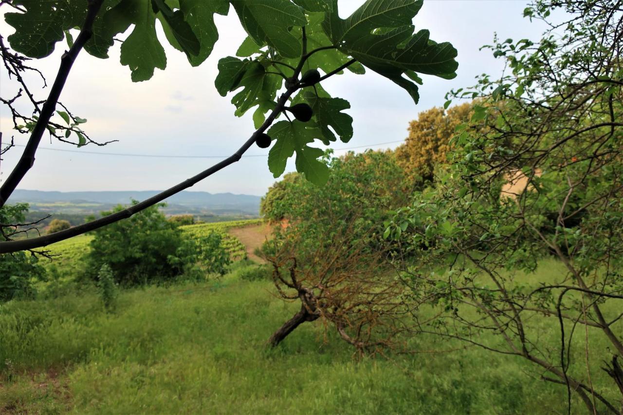Masia Sagues Poblet Exteriér fotografie