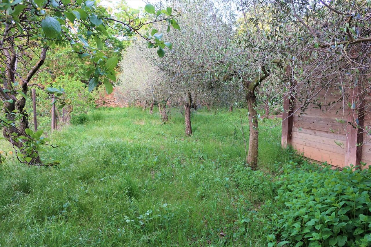 Masia Sagues Poblet Exteriér fotografie